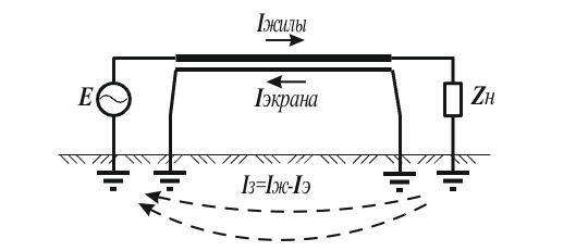 1736321323830.jpg